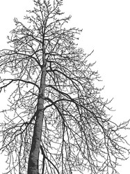 Similar image 21239118