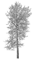 Similar image 21239119