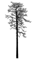 Similar image 21239125