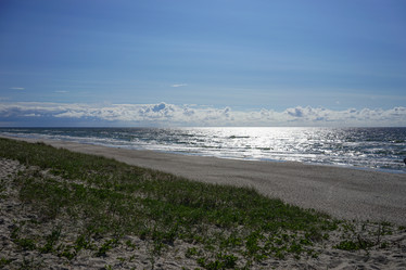 Similar image 21228269