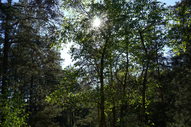 Similar image 21228278