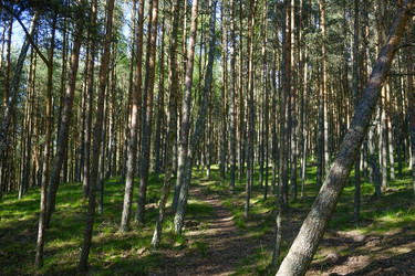 Similar image 21228279