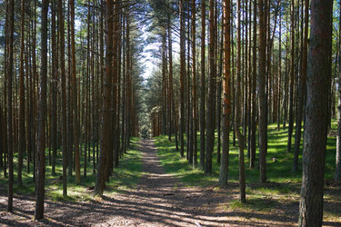 Similar image 21228280