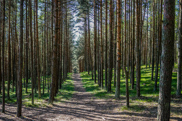 Similar image 21228281