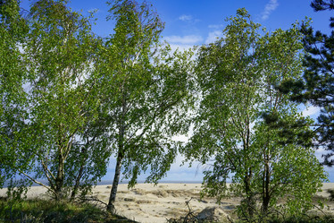 Similar image 21228284