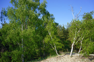 Similar image 21228285