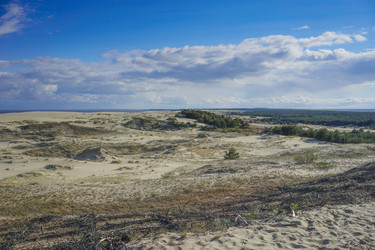 Similar image 21228619