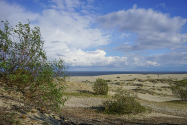 Similar image 21228287