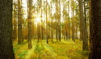 Similar image 21233671