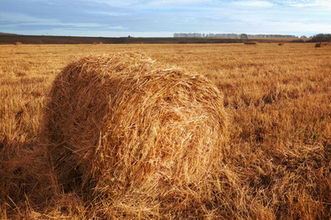 Similar image 21233673