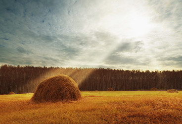 Similar image 21233674