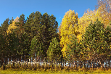 Similar image 21233676