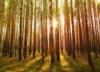 Similar image 21236066