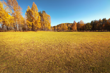 Similar image 21236070