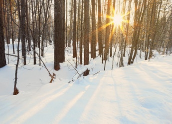 Similar image 21236073