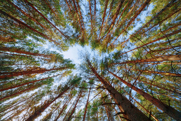 Similar image 21236075