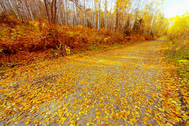 Similar image 21236081