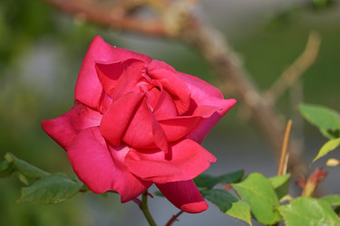 Similar image 21228624