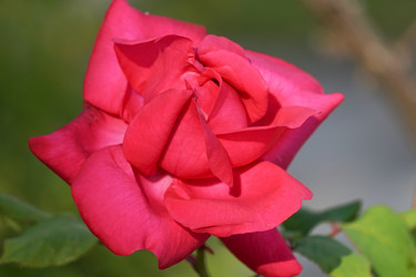 Similar image 21228626