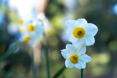 Similar image 21228628