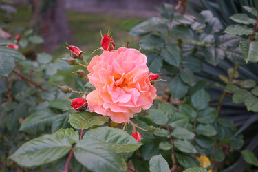 Similar image 21228633