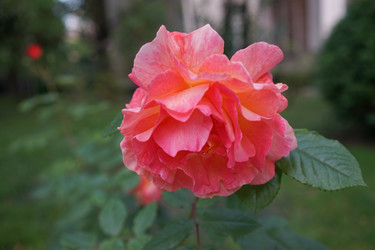 Similar image 21228640