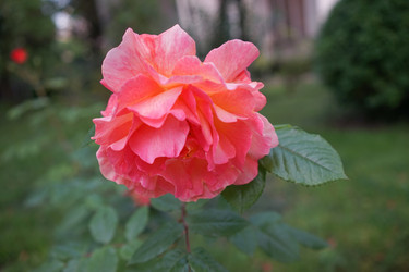 Similar image 21228641