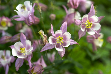 Similar image 21228642