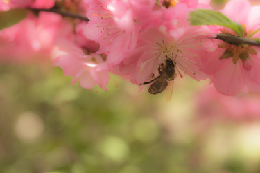 Similar image 21228643