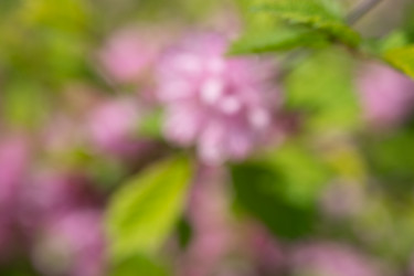 Similar image 21228644