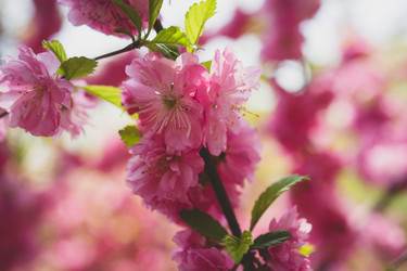 Similar image 21228646