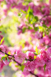 Similar image 21228647