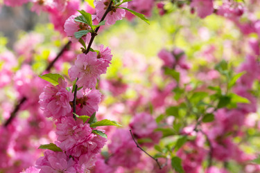 Similar image 21228648