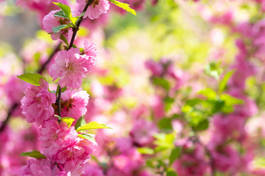 Similar image 21228650