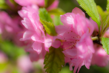 Similar image 21228652