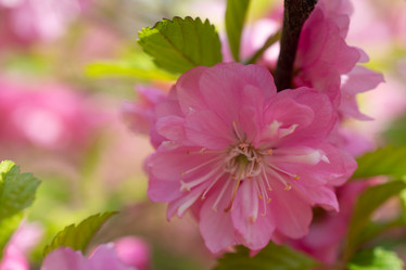 Similar image 21228653