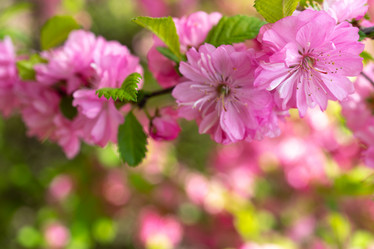 Similar image 21228654