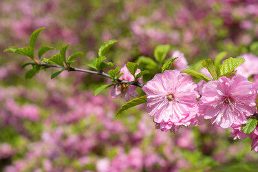 Similar image 21228655