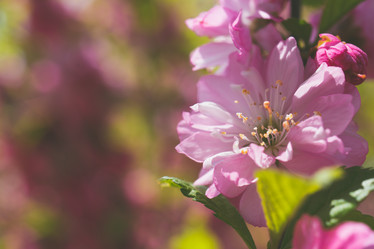 Similar image 21228656