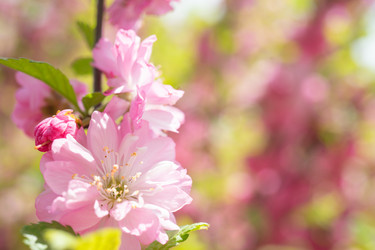 Similar image 21228657