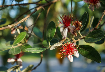 Similar image 21228660