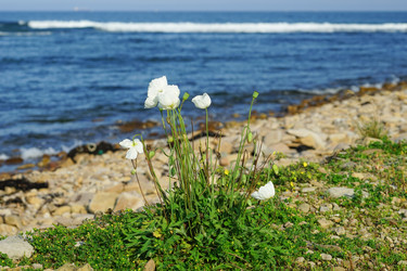 Similar image 21228662