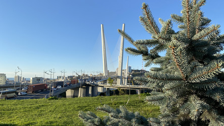 Similar image 21228696