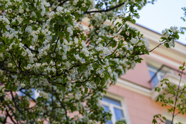 Similar image 21228714