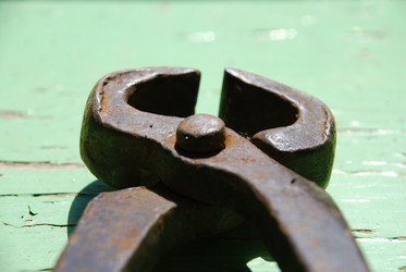 Similar image 21239328