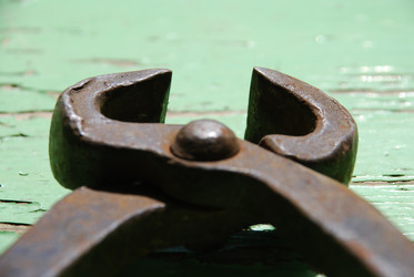 Similar image 21239330