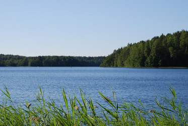 Similar image 21239334