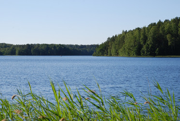 Similar image 21239338