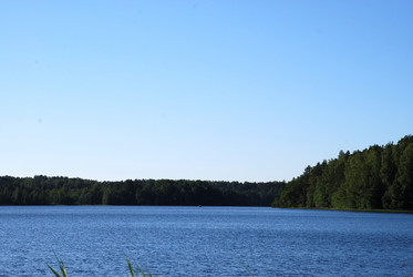 Similar image 21239339