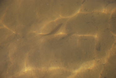 Similar image 21239340